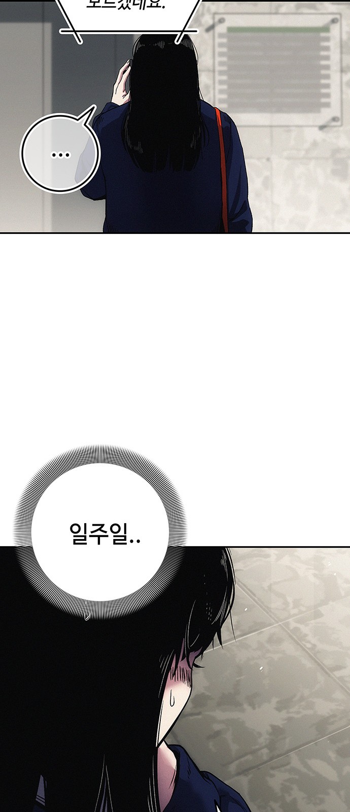 116 페이지