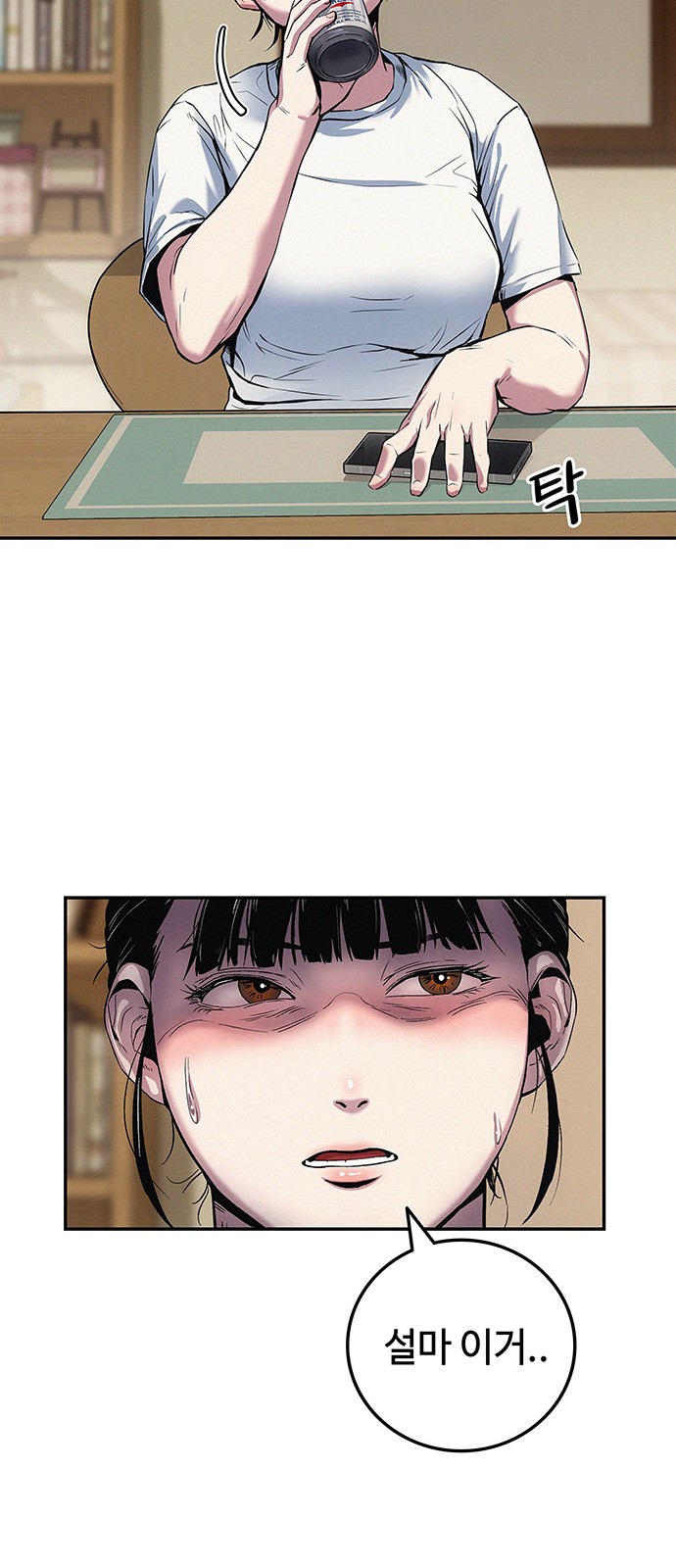 13 페이지