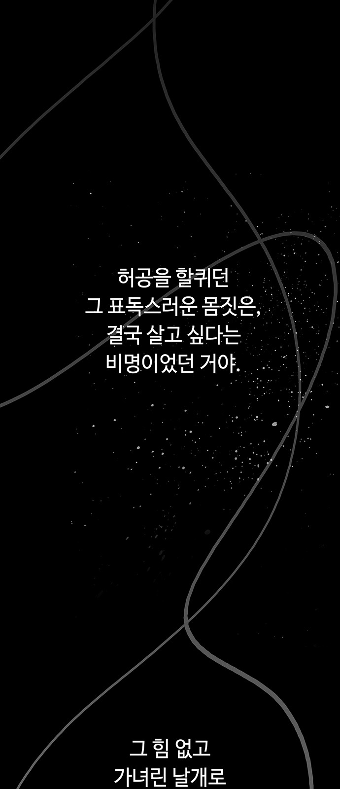 113 페이지