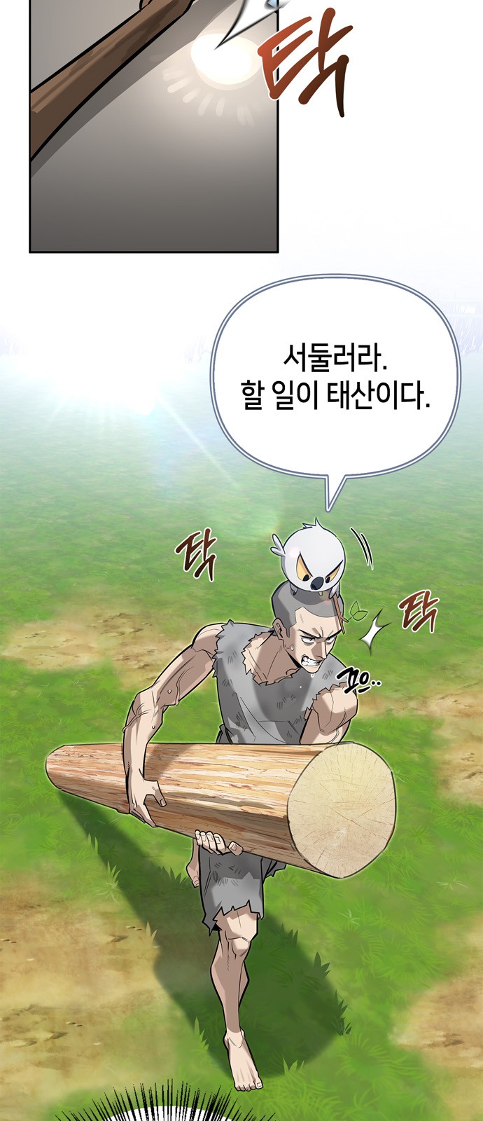 43 페이지