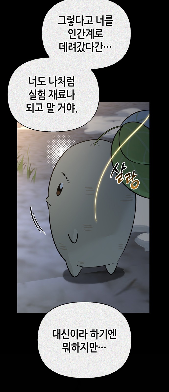 70 페이지