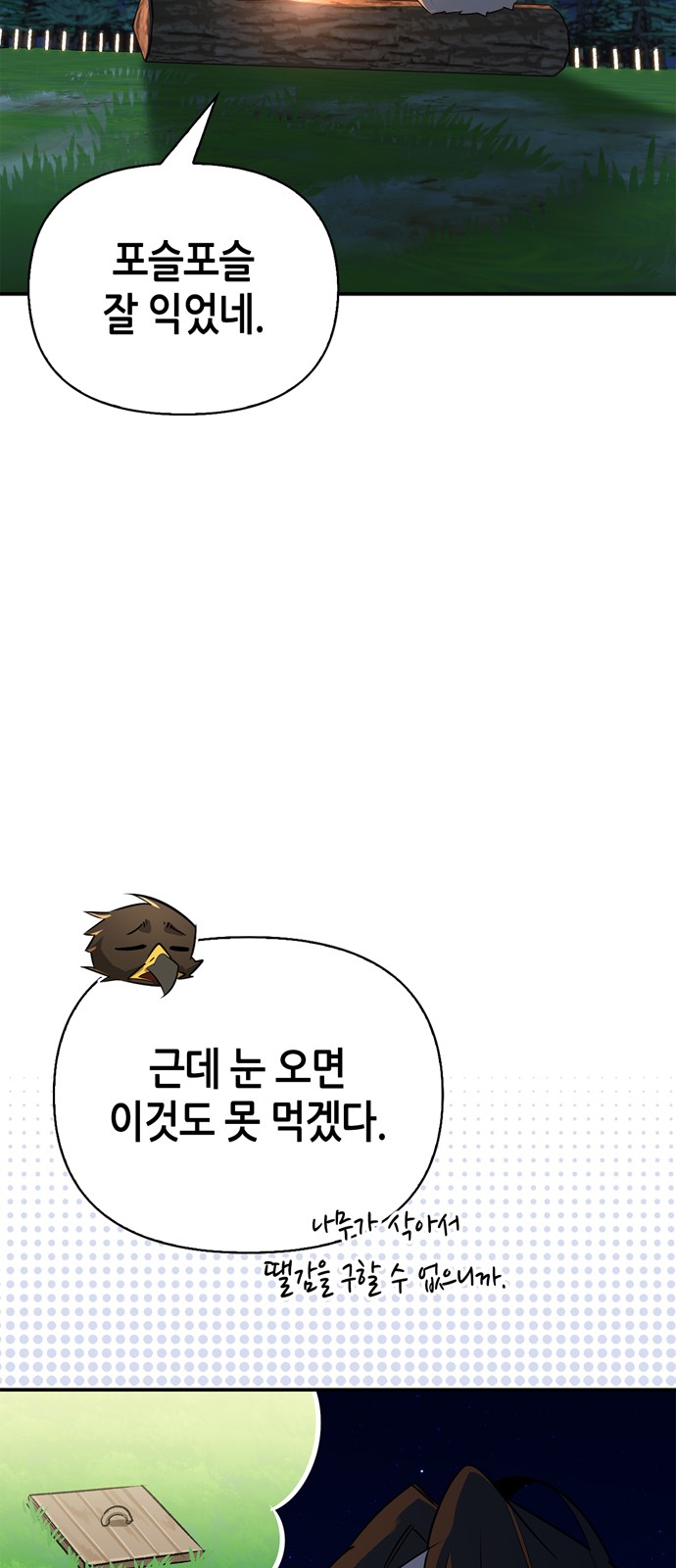 63 페이지
