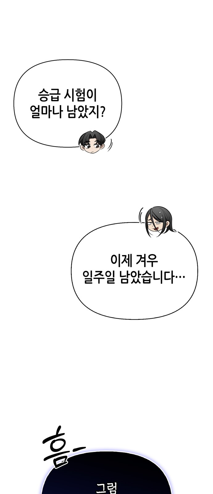 100 페이지