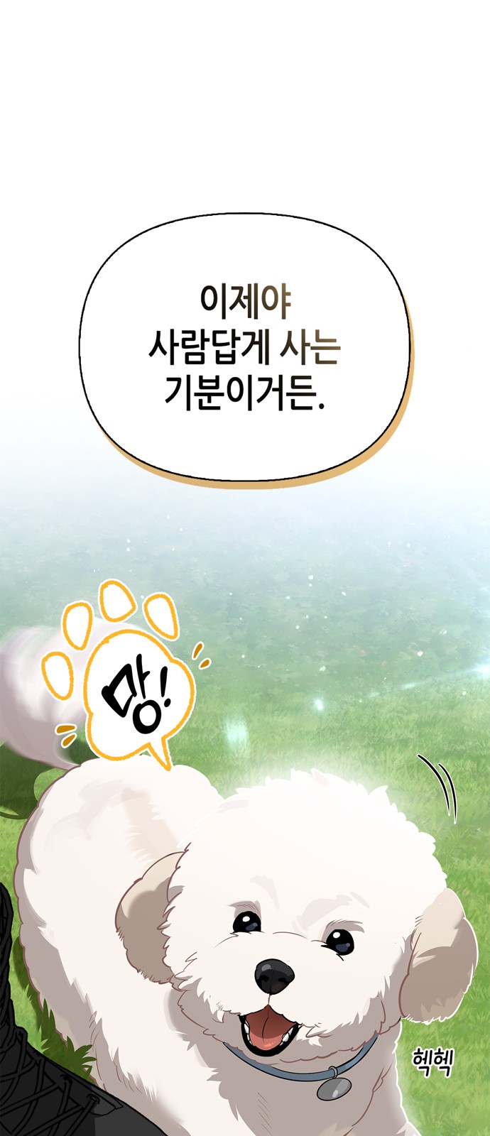 45 페이지