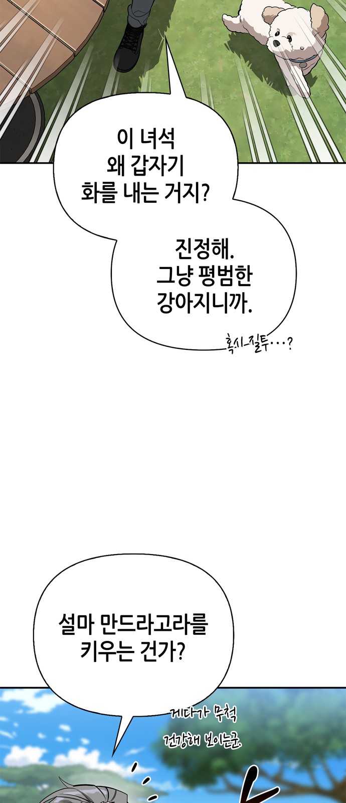 48 페이지