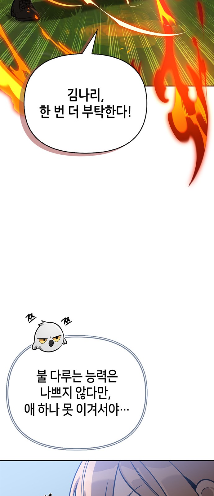 43 페이지