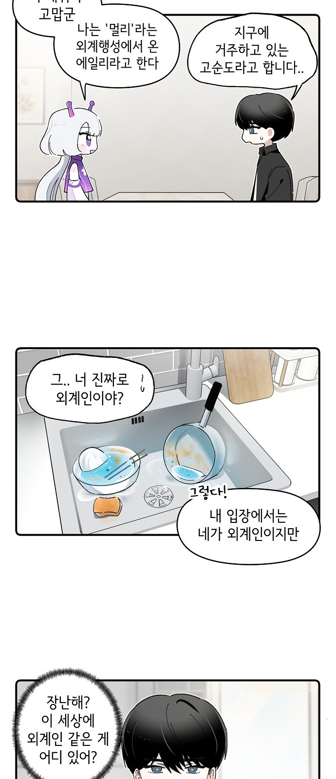 13 페이지