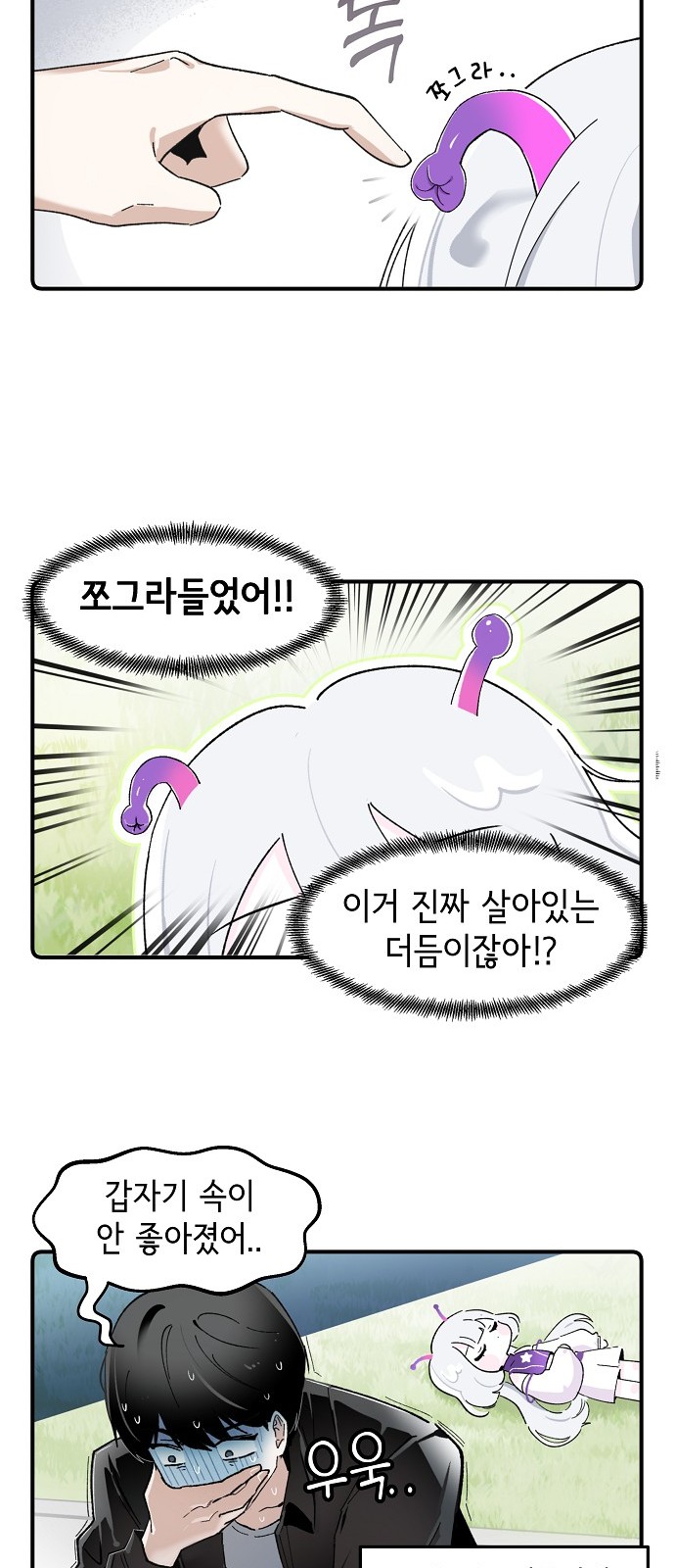 5 페이지