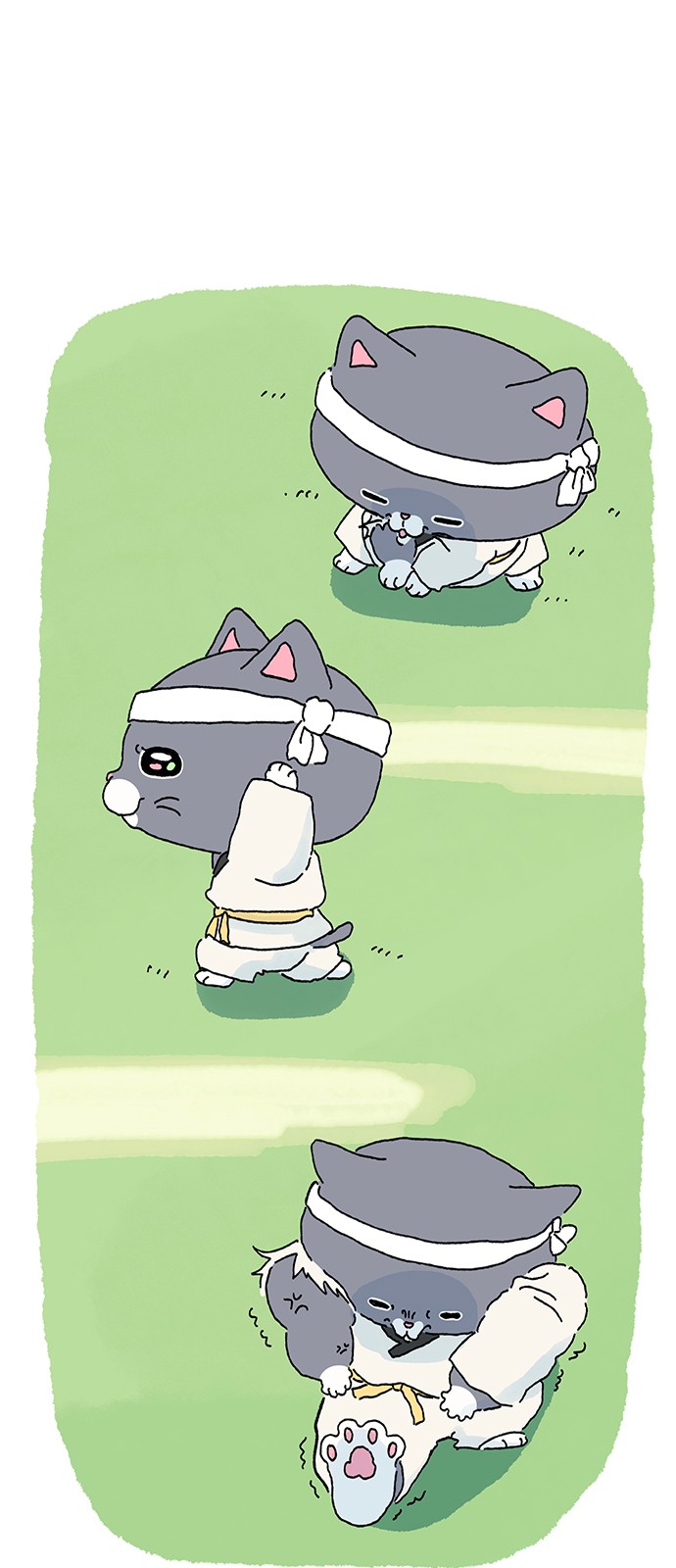 12 페이지