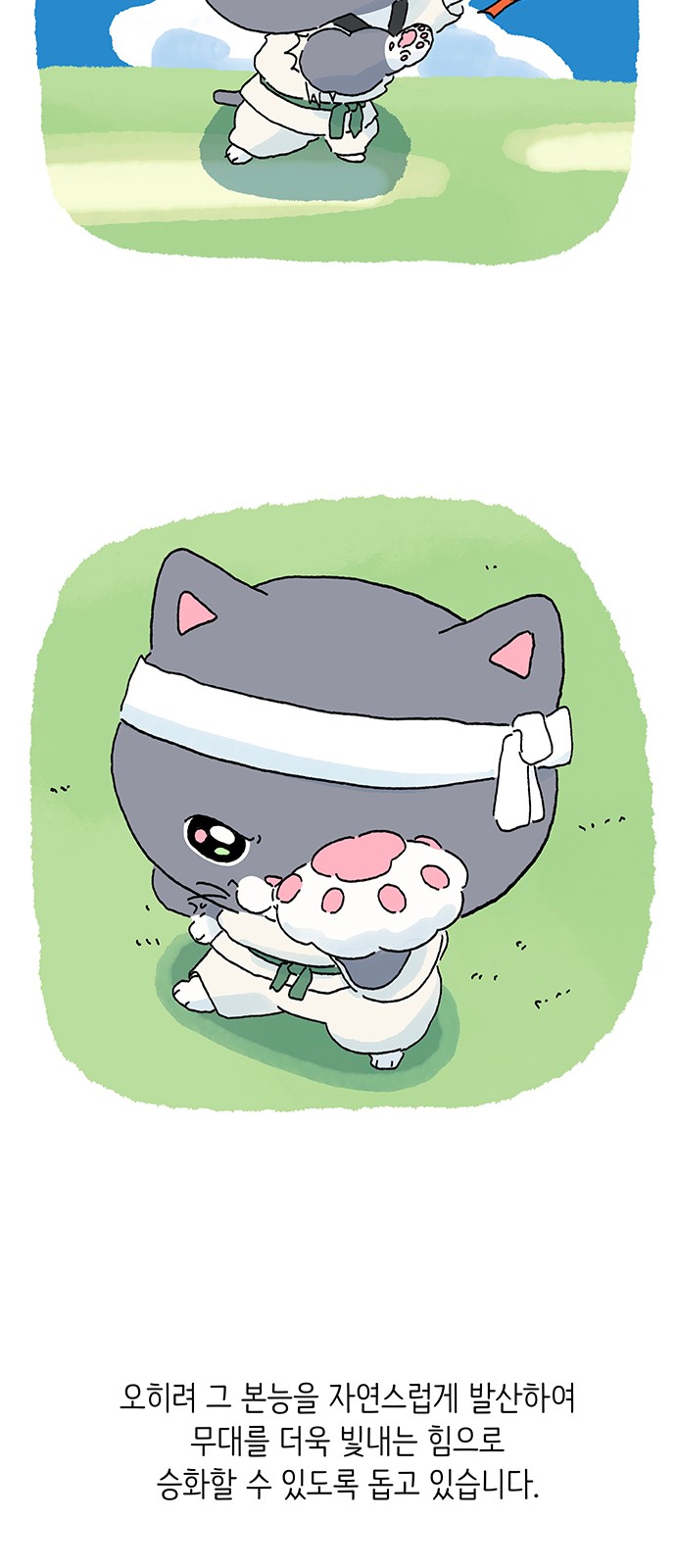 15 페이지