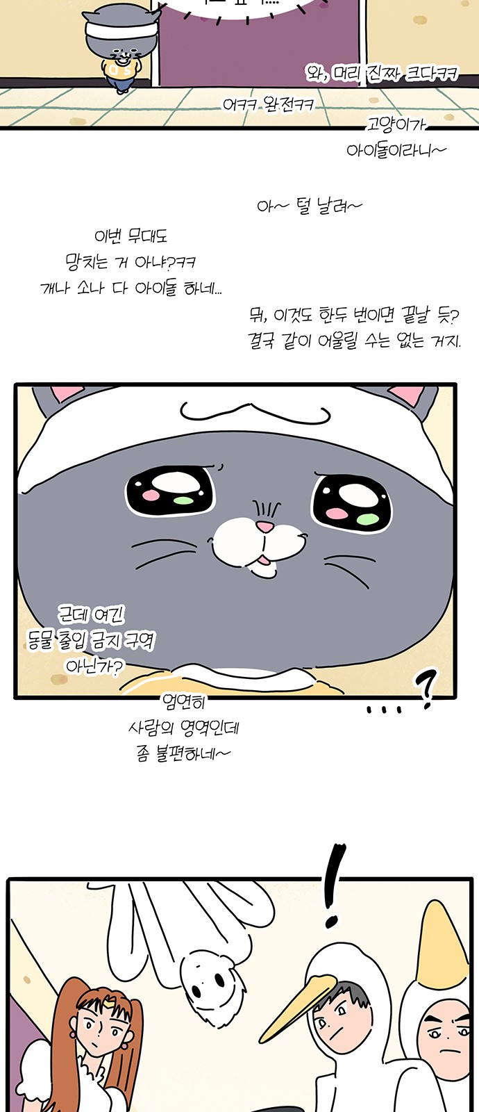 20 페이지
