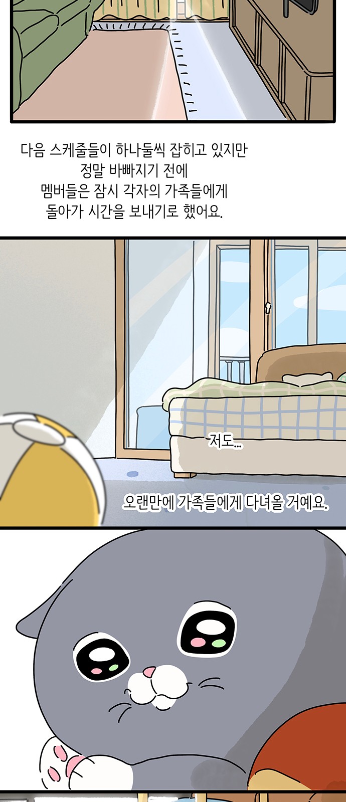43 페이지