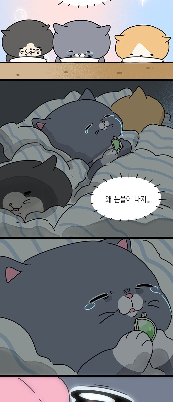 31 페이지
