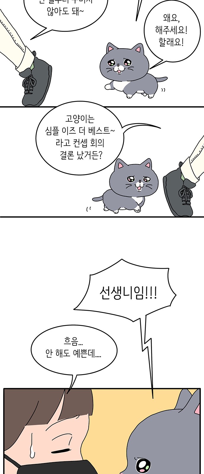 23 페이지