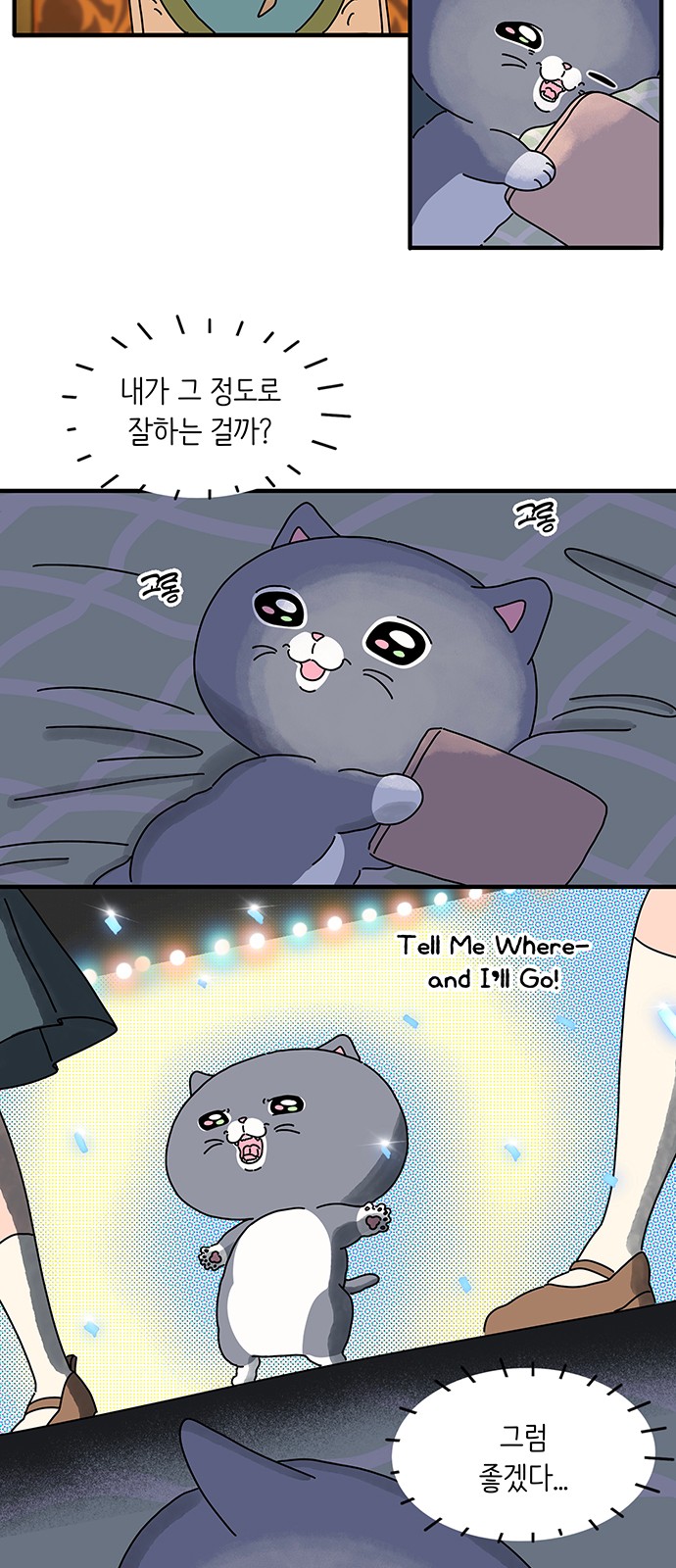5 페이지
