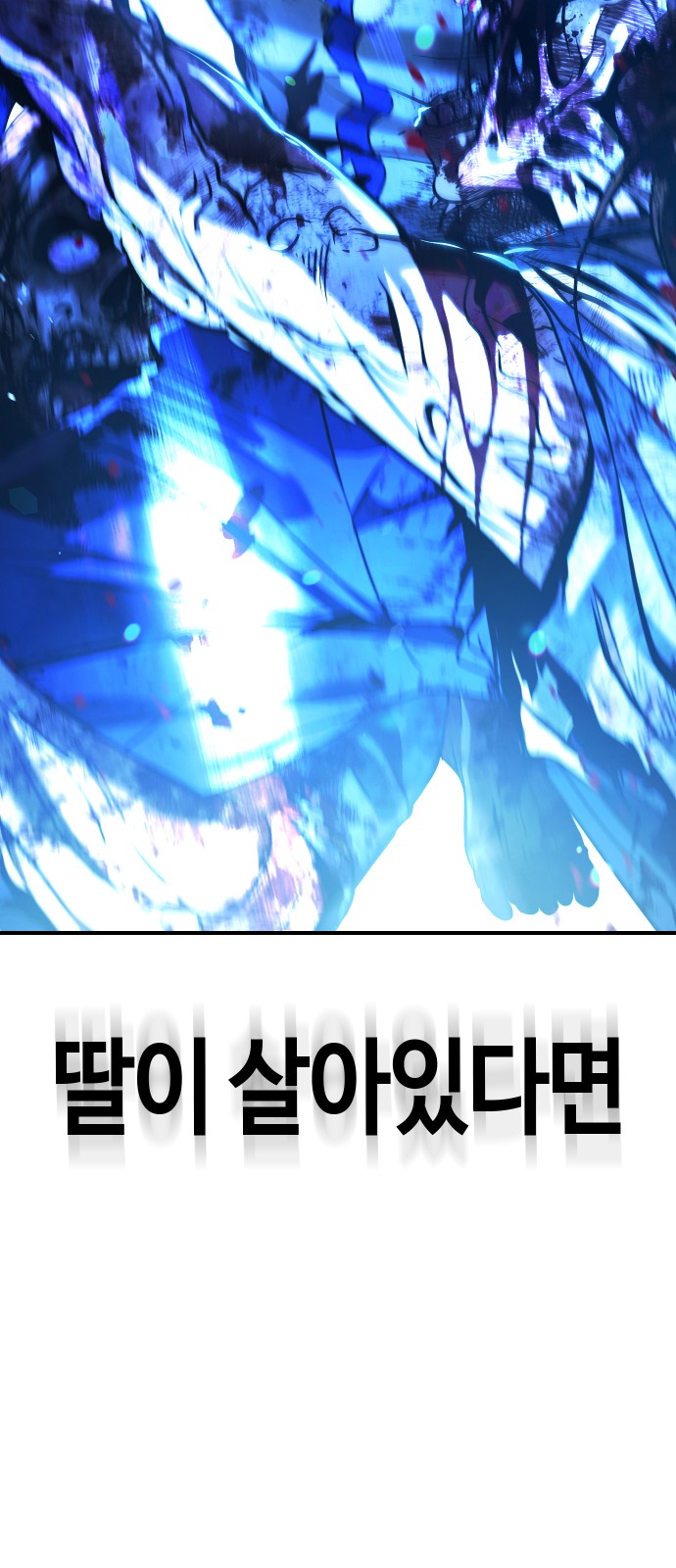 216 페이지
