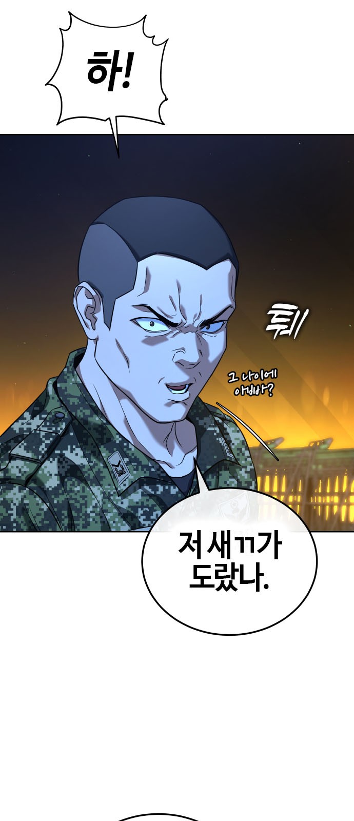 29 페이지