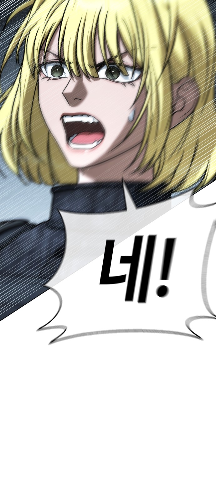 117 페이지