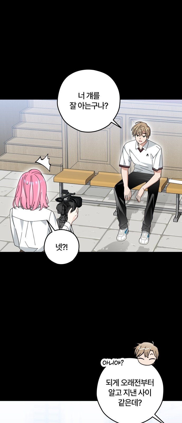 49 페이지