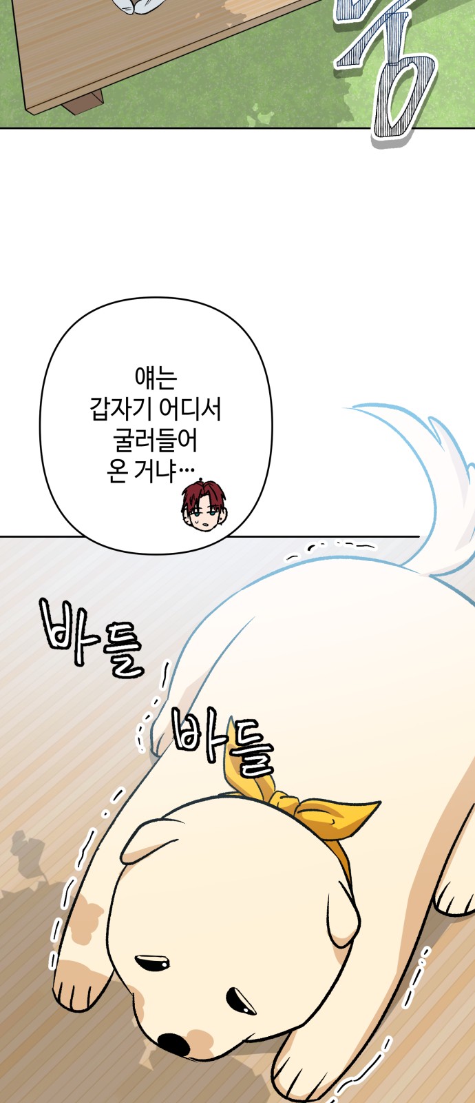 13 페이지