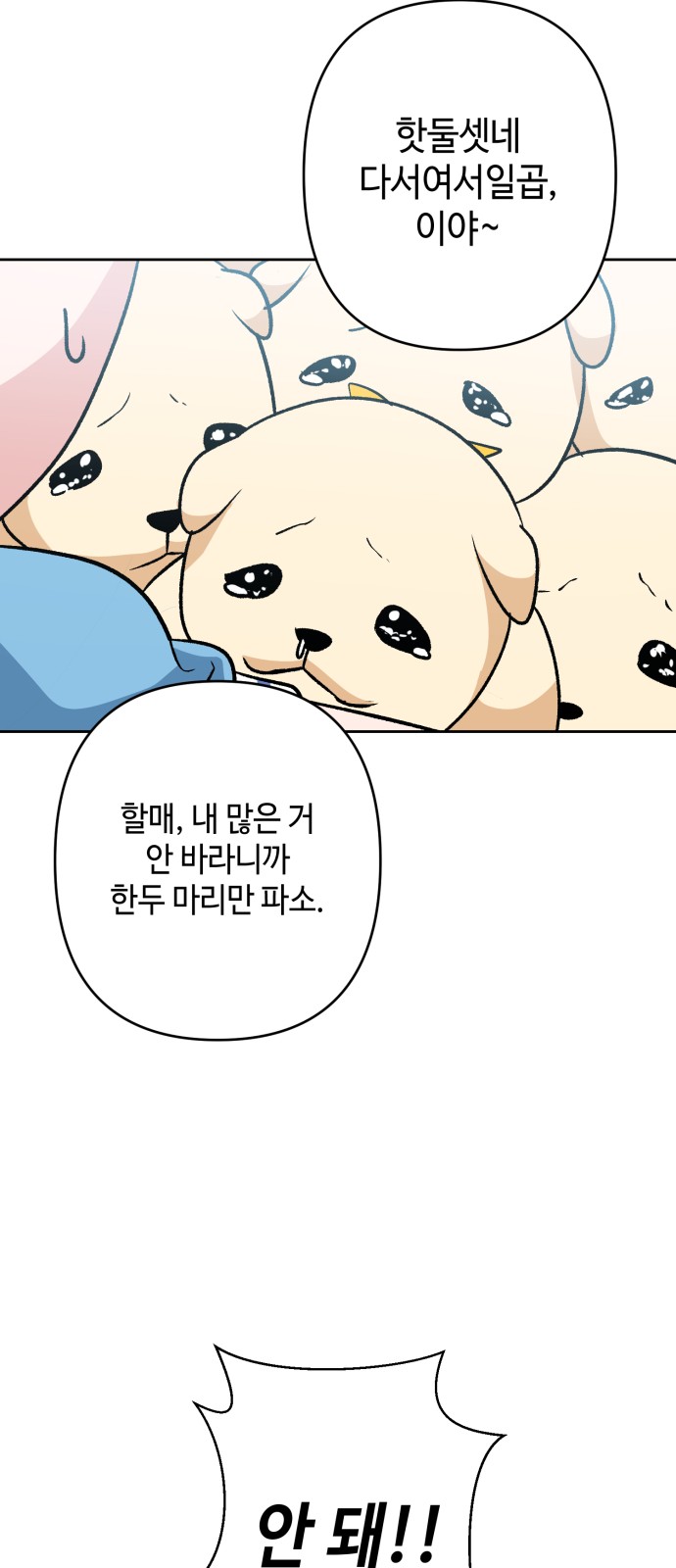 50 페이지