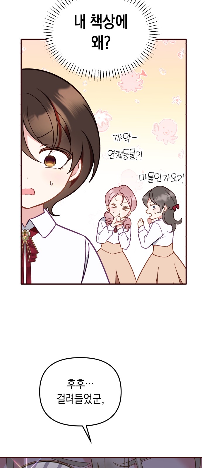 40 페이지