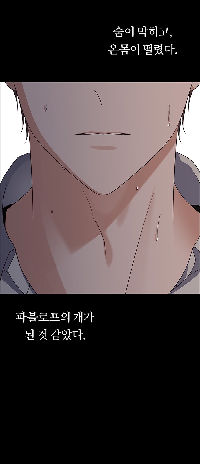 40 페이지