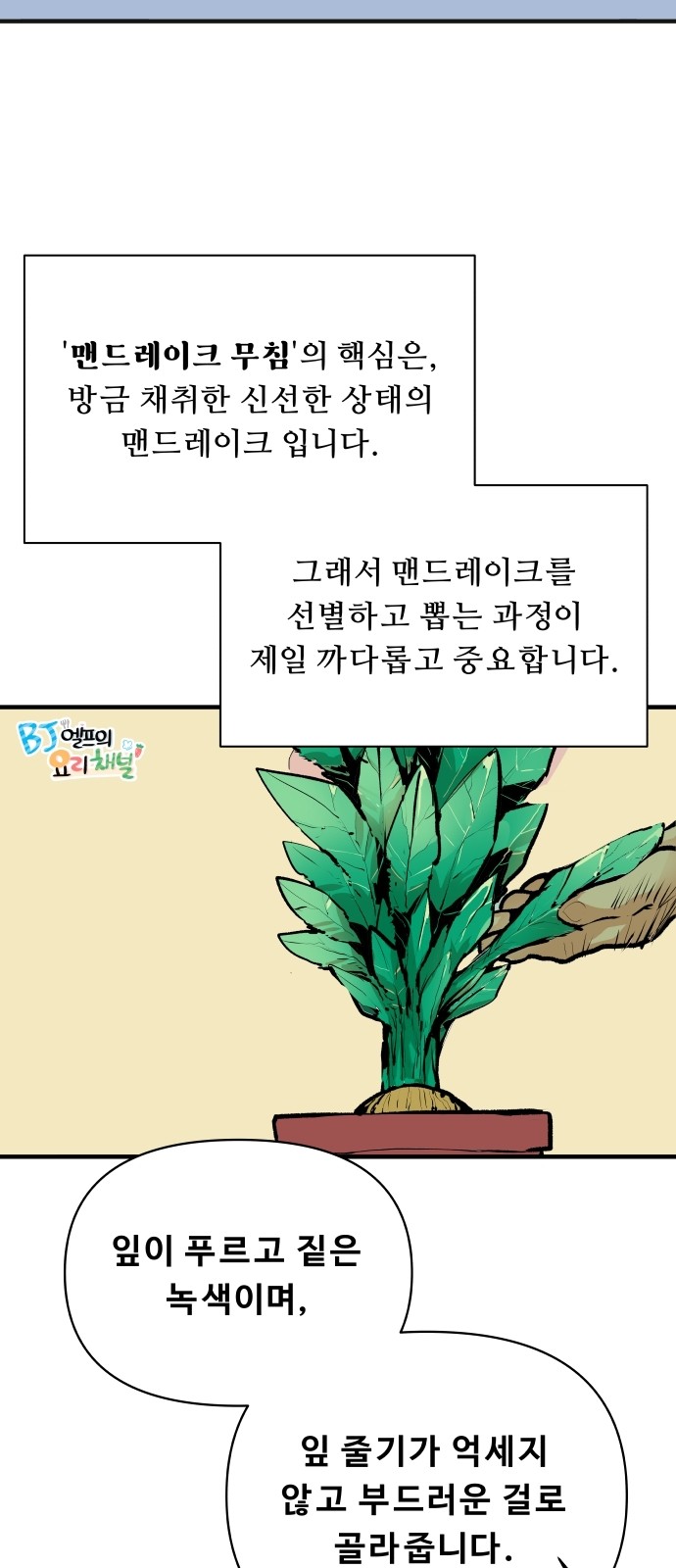 16 페이지