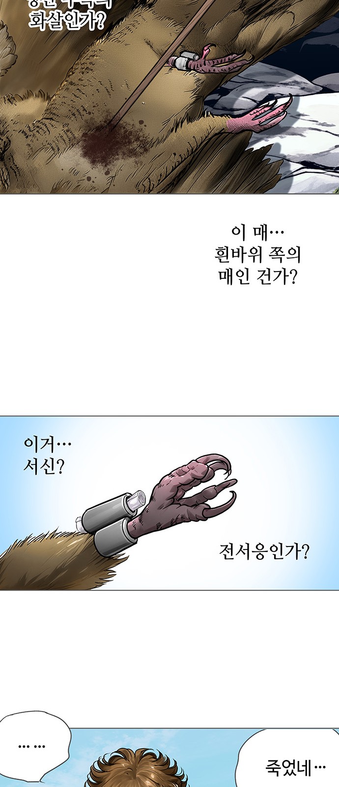 15 페이지