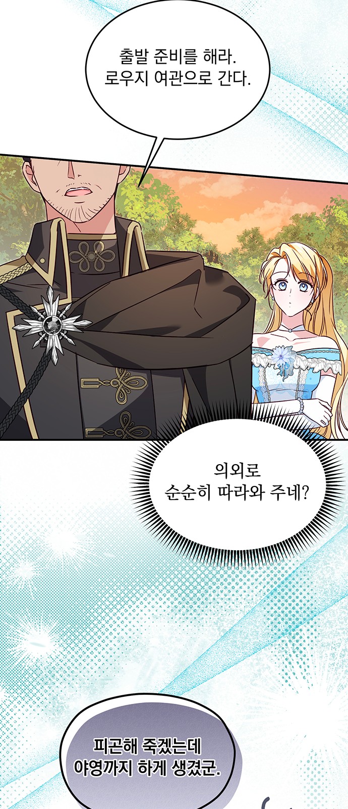 46 페이지
