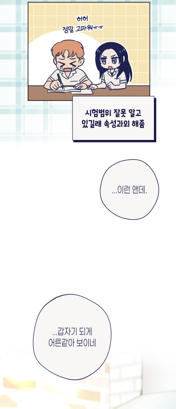 31 페이지