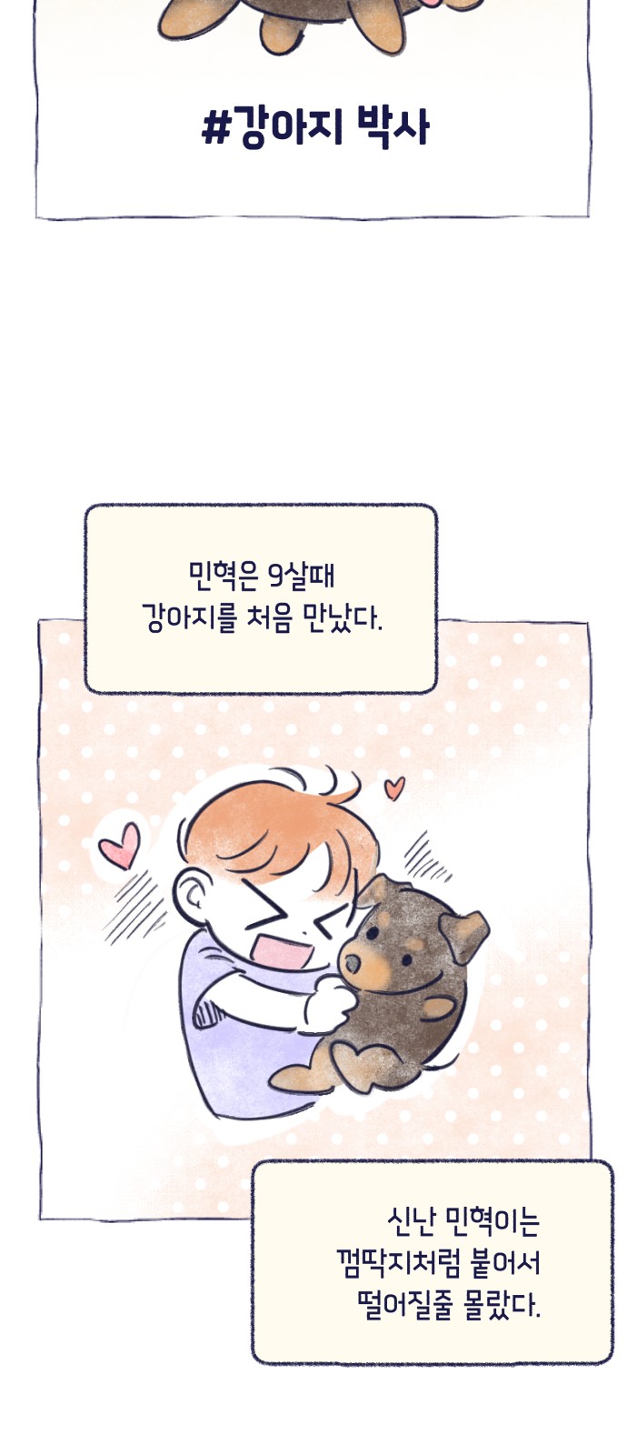17 페이지