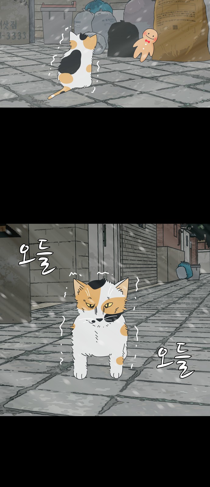 20 페이지