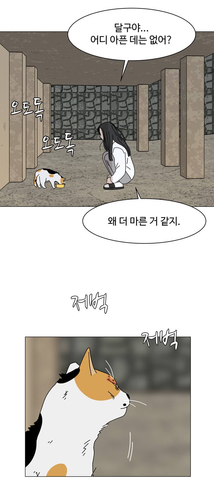33 페이지