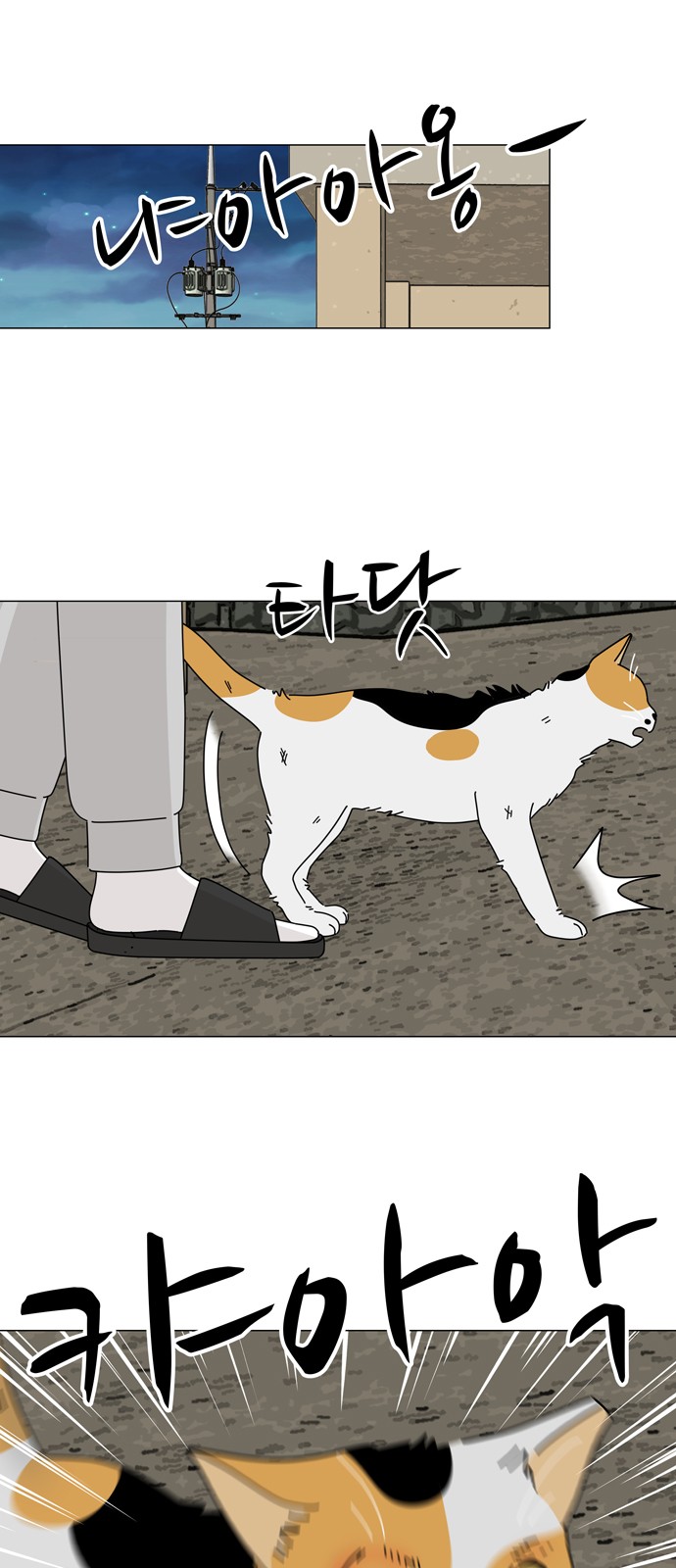 39 페이지