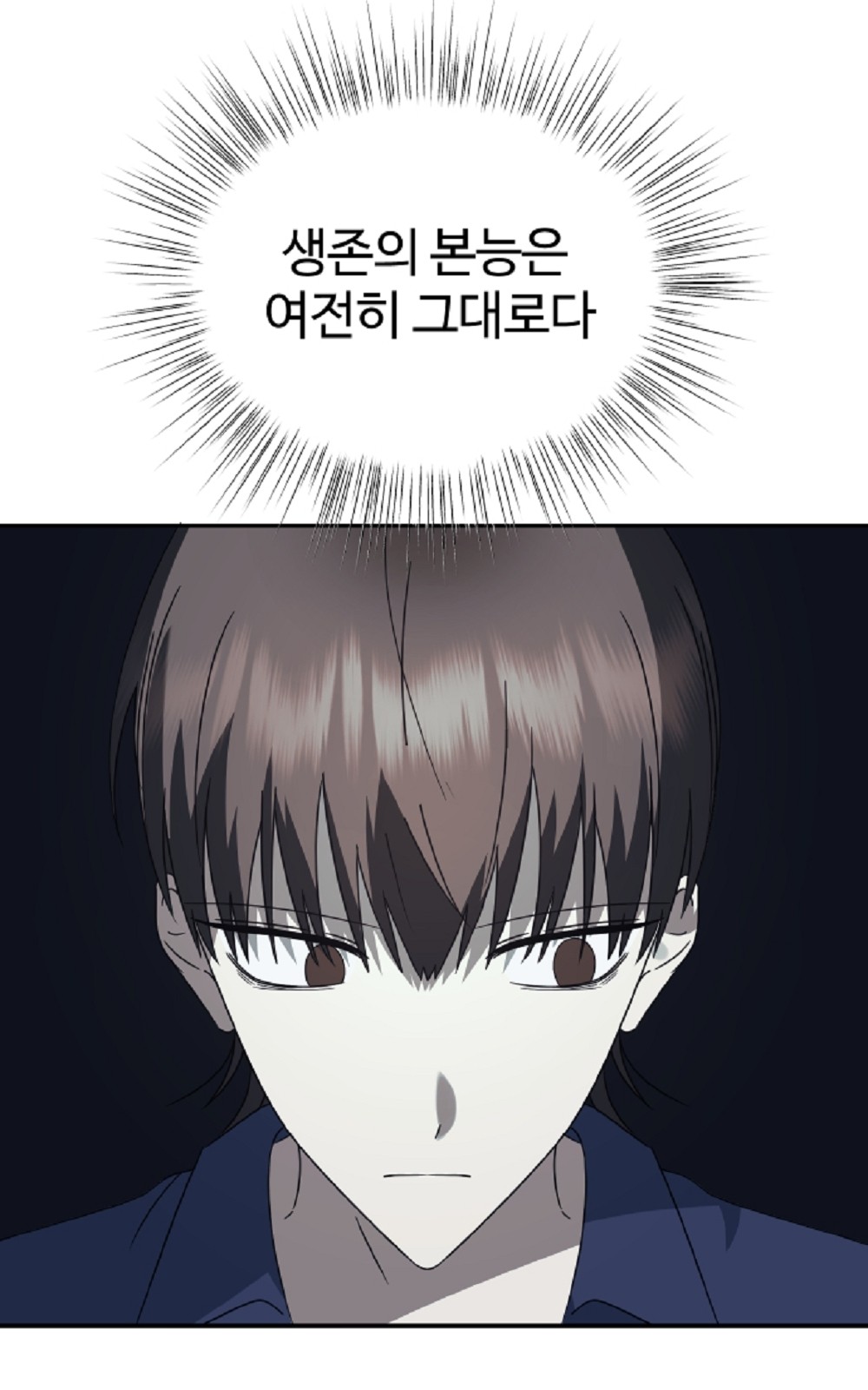 146 페이지