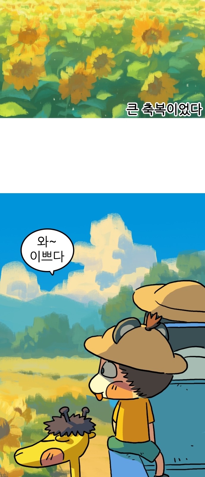 37 페이지