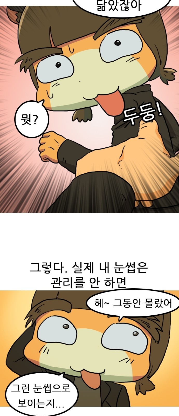 35 페이지