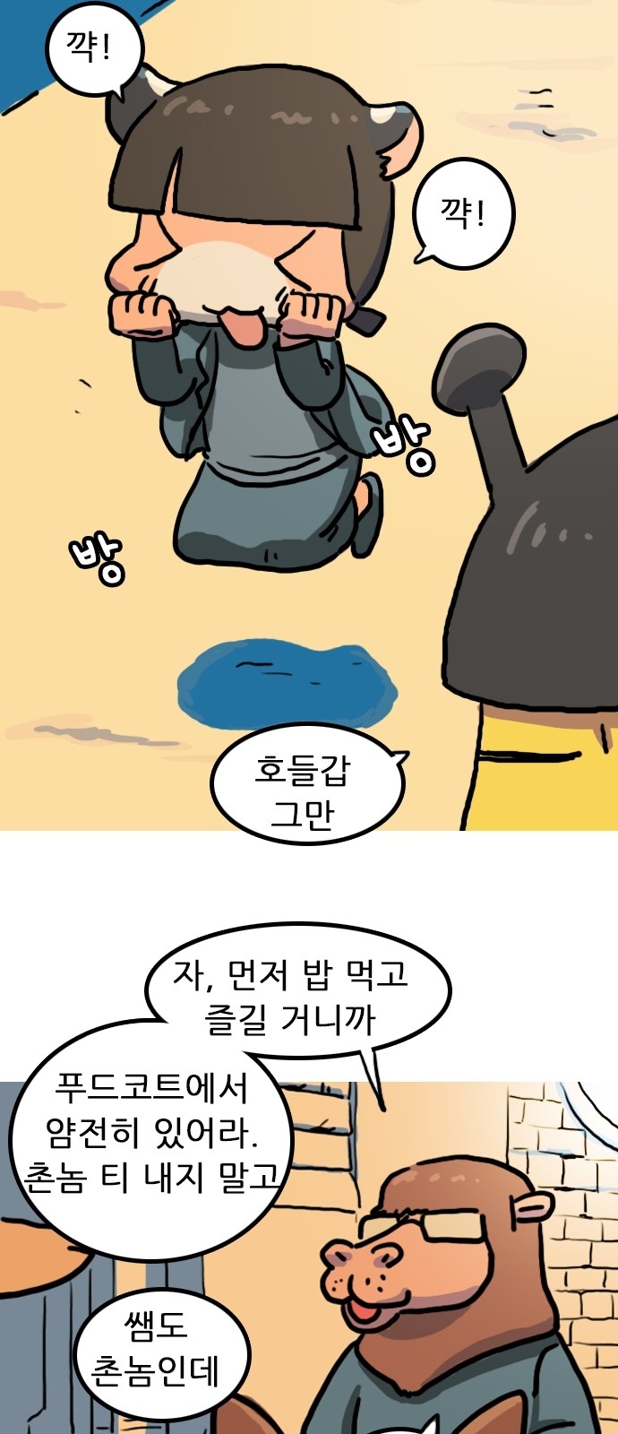 5 페이지