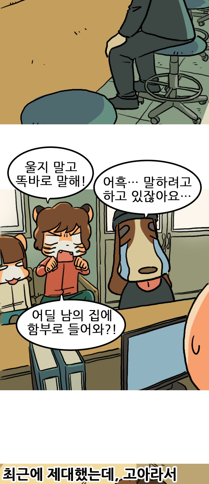 12 페이지