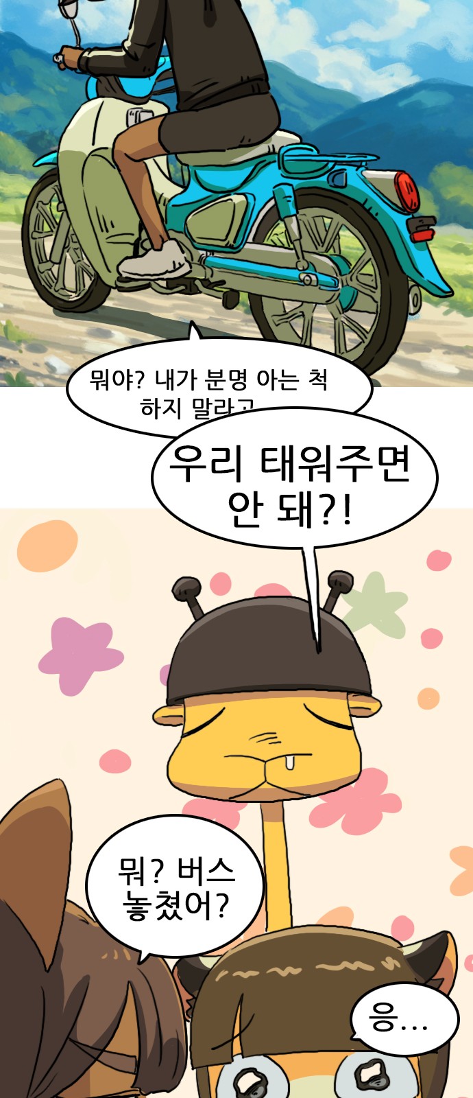 20 페이지