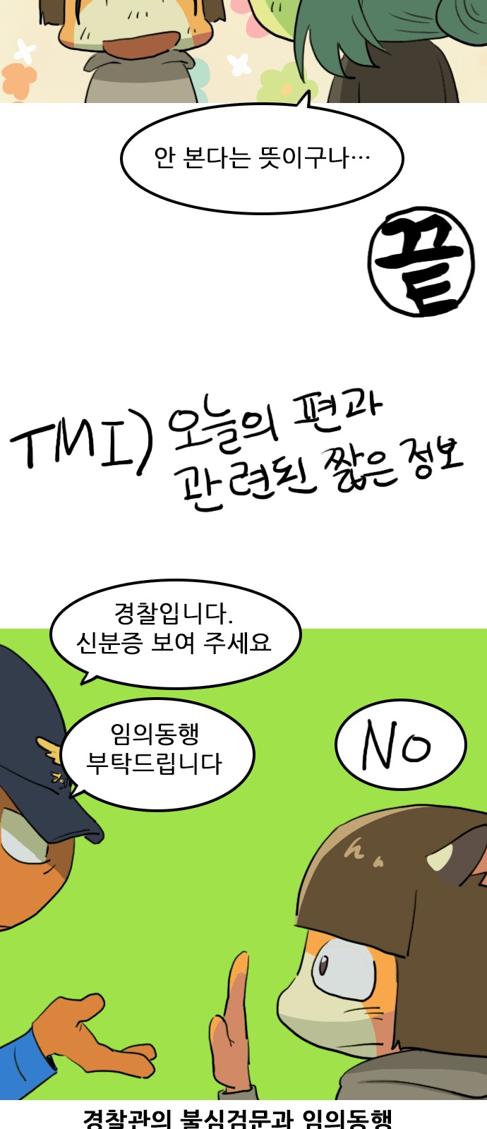 46 페이지