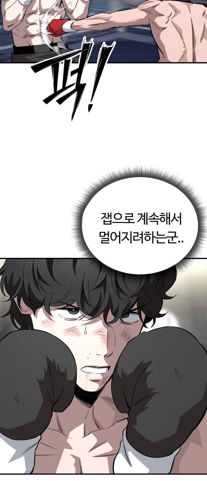 66 페이지