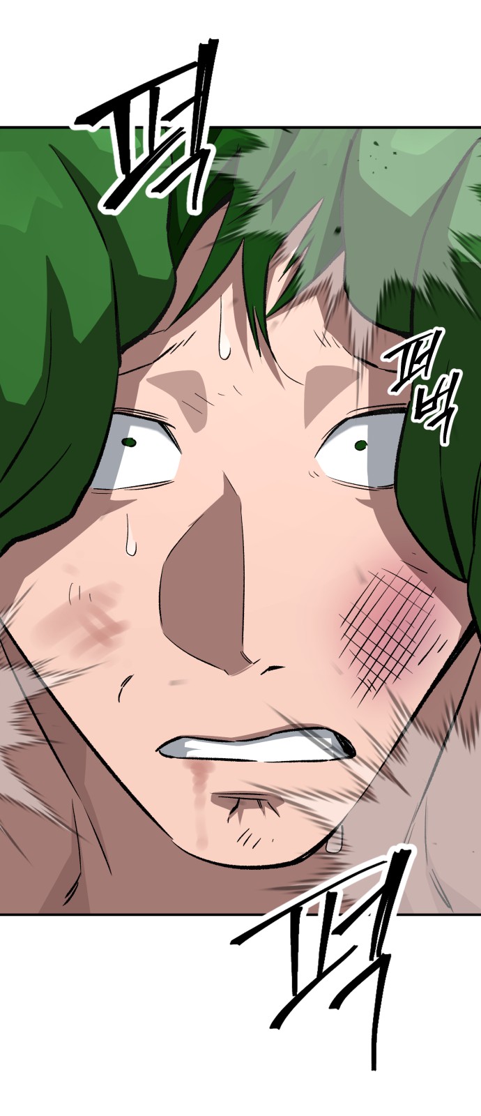 76 페이지