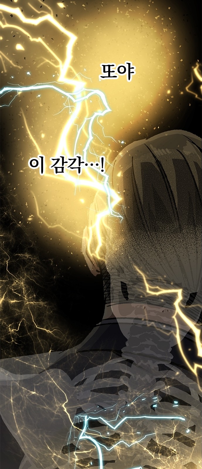 46 페이지