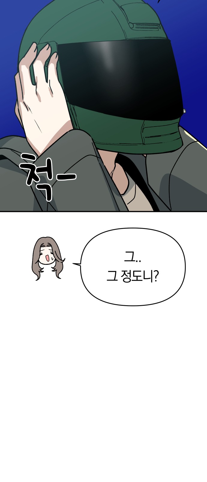 66 페이지