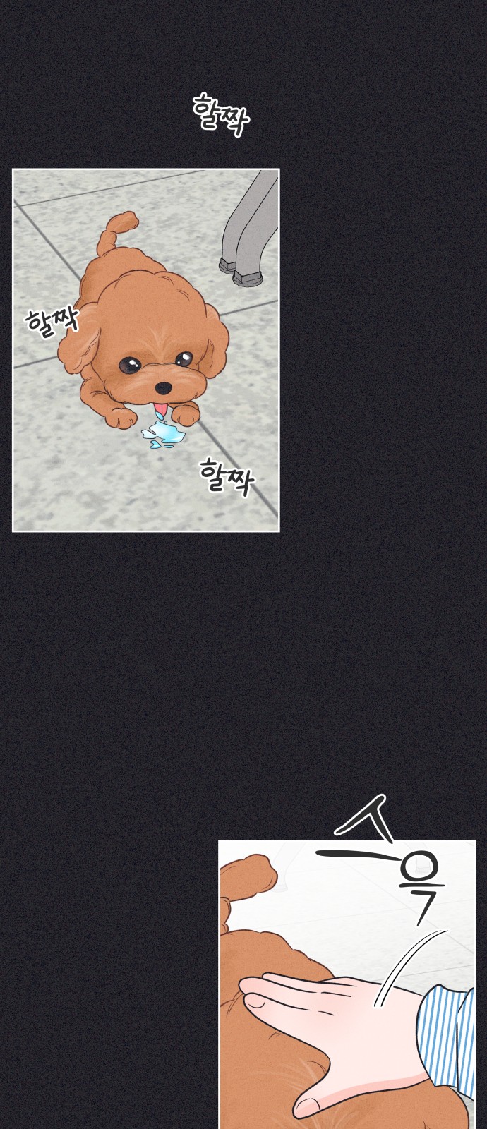 50 페이지