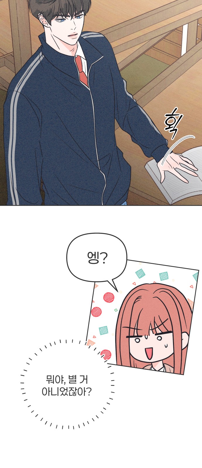 46 페이지