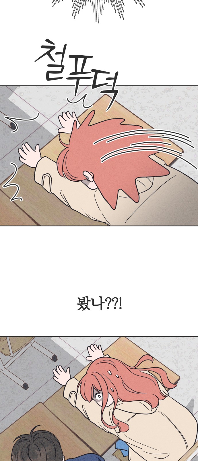 81 페이지