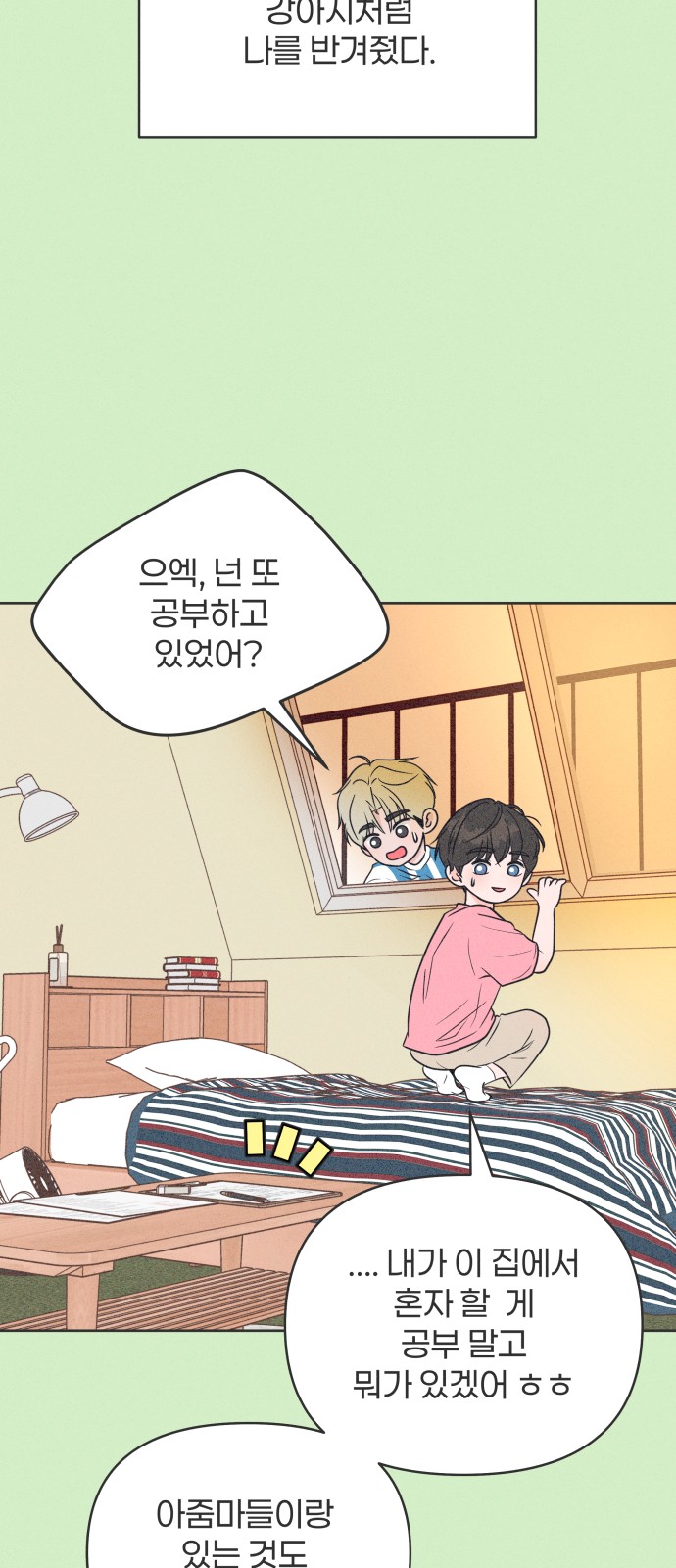 17 페이지
